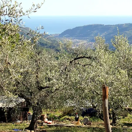 L'oasi Del Rossese 팜스테이