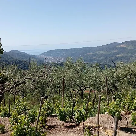 L'oasi Del Rossese 팜스테이 돌체아쿠아