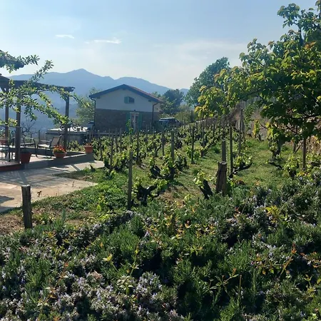 L'oasi Del Rossese 팜스테이 돌체아쿠아