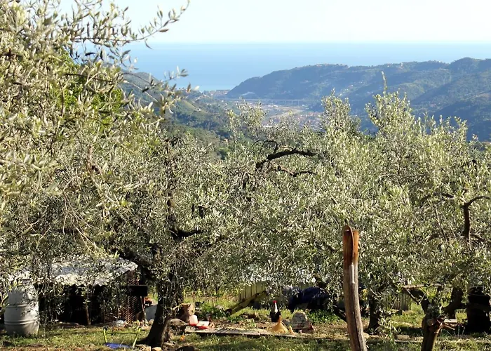 L'oasi Del Rossese Feriegård